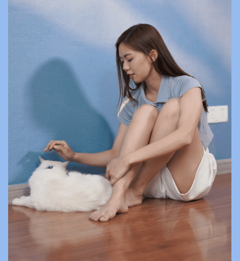 萌宠治愈我的生活——艺术涂料十大品牌“阿尔卑斯”系列