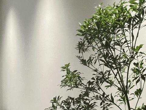 墙面超会搭为爱高定家丨卡百利艺术涂料刷出朋友都羡慕的神仙雅居