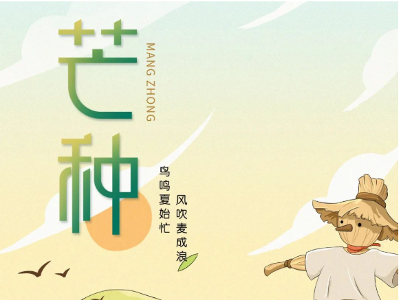 卡百利艺术涂料-二十四节气色彩丨芒种，穗色盈仲夏，美满正此时