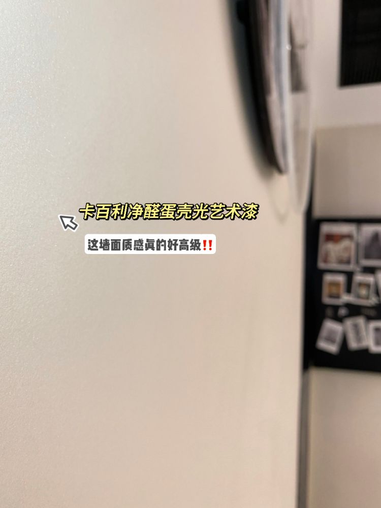 蛋壳光艺术漆