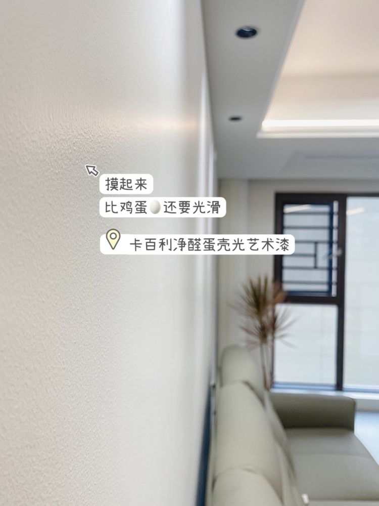 蛋壳光艺术漆