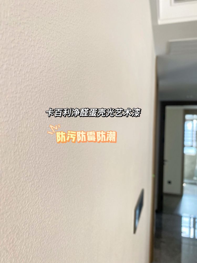 蛋壳光艺术漆