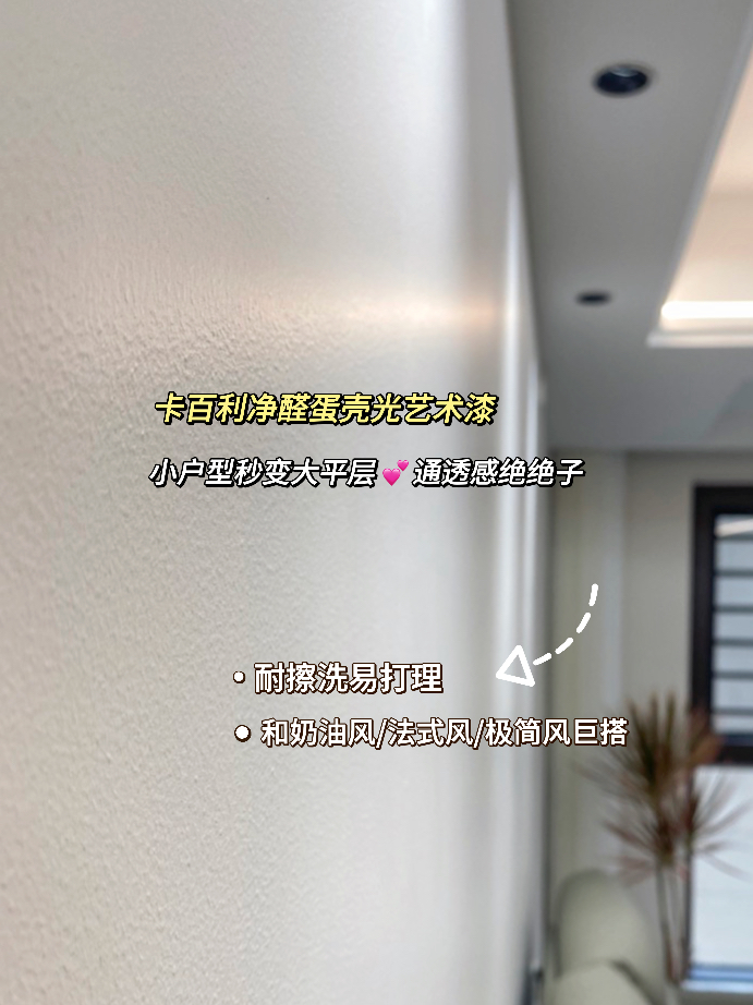 蛋壳光艺术漆