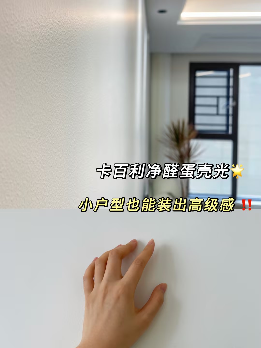 蛋壳光艺术漆