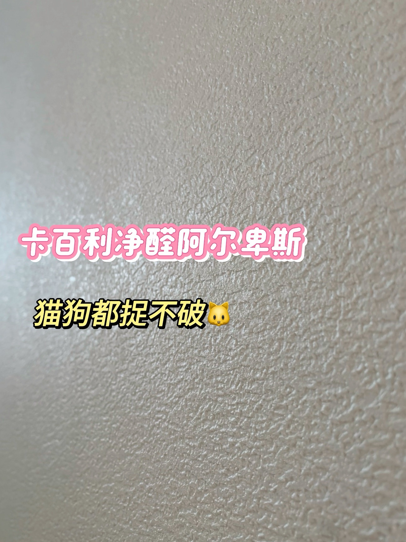 艺术漆装修